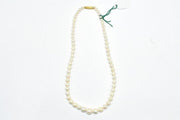 Round Freshwater Pearl Beads-80031.48/GM